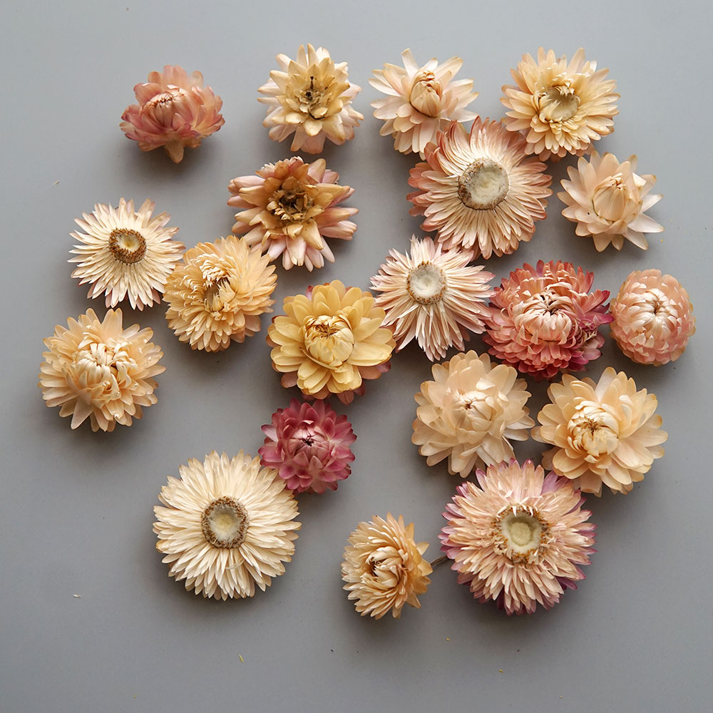 Couronne de chrysanthème color - Candle Making Uk avis et prix